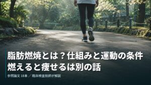 朝の道を歩く人の足元。脂肪燃焼とは何かを論文で解説する記事のアイキャッチ