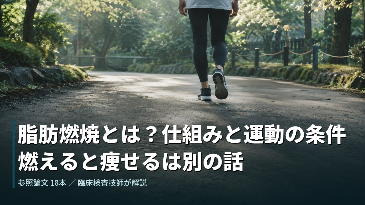 朝の道を歩く人の足元。脂肪燃焼とは何かを論文で解説する記事のアイキャッチ