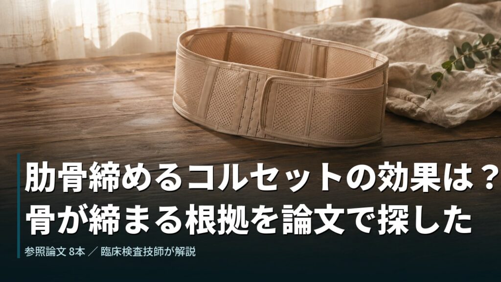 肋骨締めるコルセットの効果は？骨が締まる根拠を論文で探した